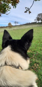 PHOTO-2025-01-27-12-06-40