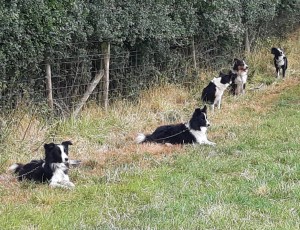 PHOTO-2025-01-27-12-24-50