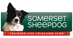 Somerset Sheepdogs